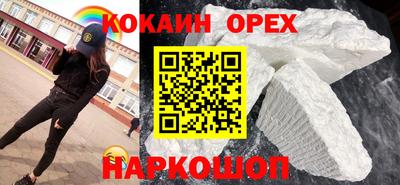 шишки Абакан