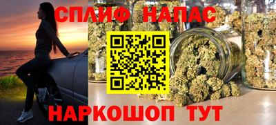 прущие грибы Вязники