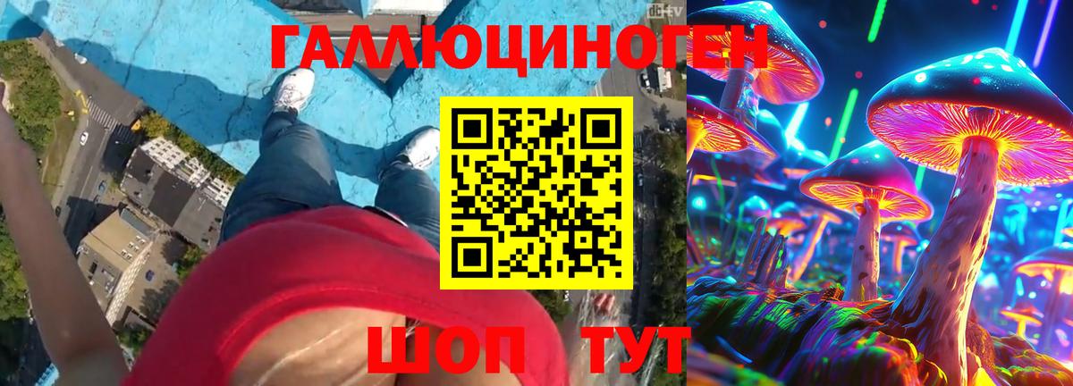 Галлюциногенные грибы мицелий  Артём  Псилоцибиновые грибы Cubensis 