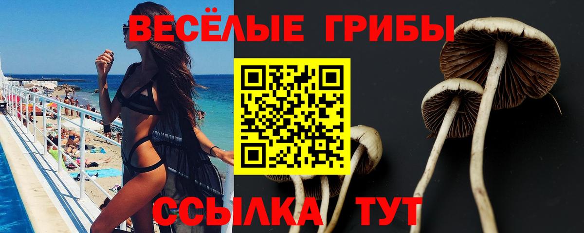 Галлюциногенные грибы прущие грибы Артём